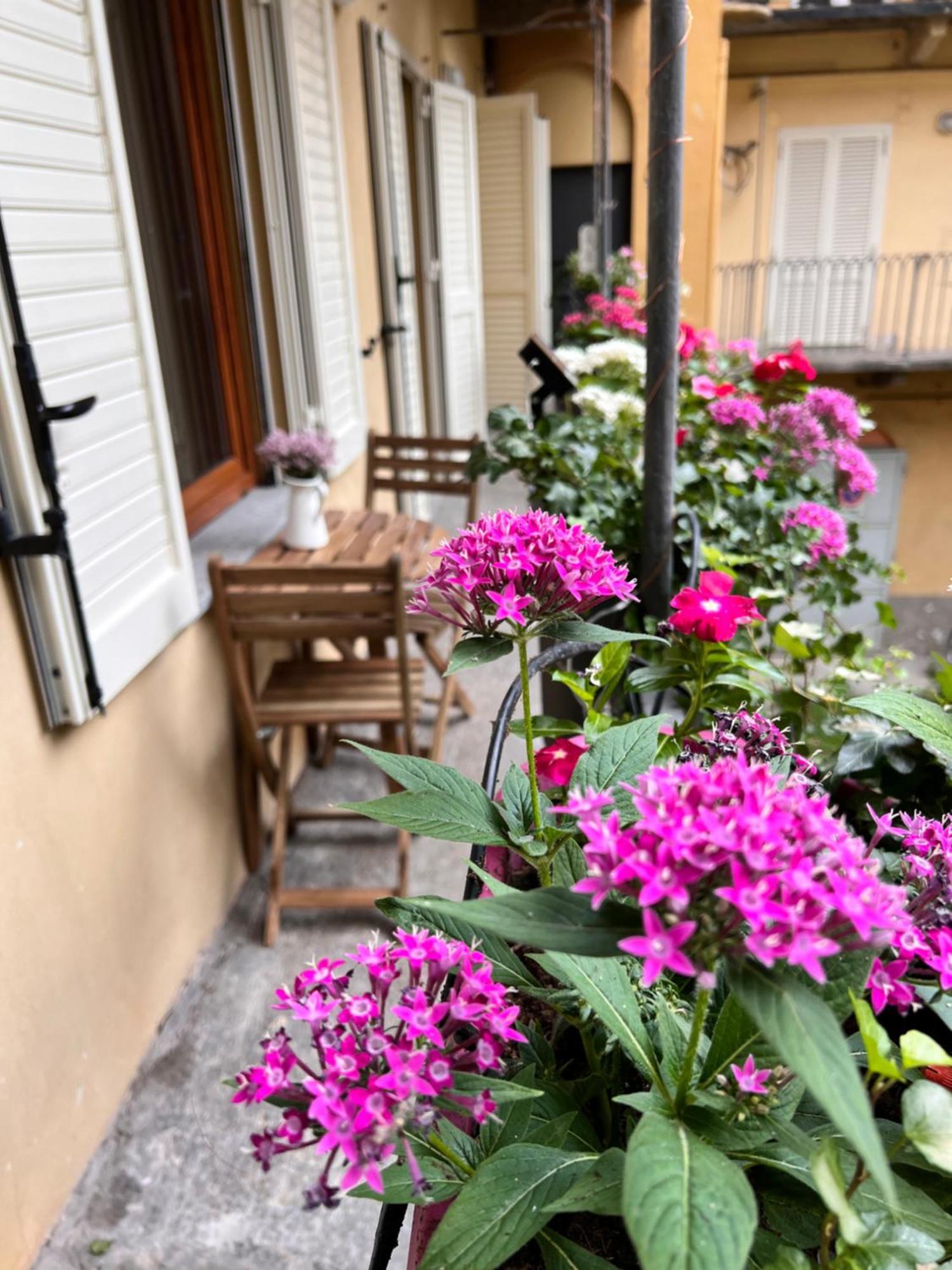 La Corte Luxury Suite - Torino Centro 外观 照片